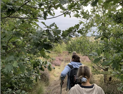 Gentleshaw Commons Walking Group
