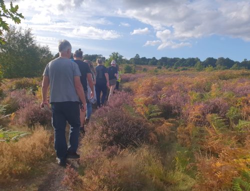 Gentleshaw Walks comes to an end