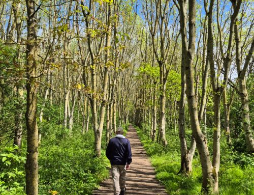 Weekend Walking Group – Week 3