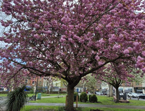 Weekend Walking Group – Update 1