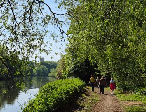 Weekend Walking Group – Week 5
