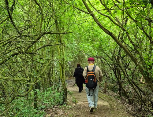 Weekend Walking Group – Week 6