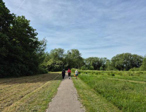 Weekend Walking Group – Week 7